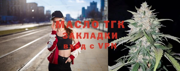 индика Костерёво