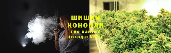 индика Костерёво