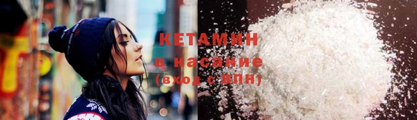 индика Костерёво