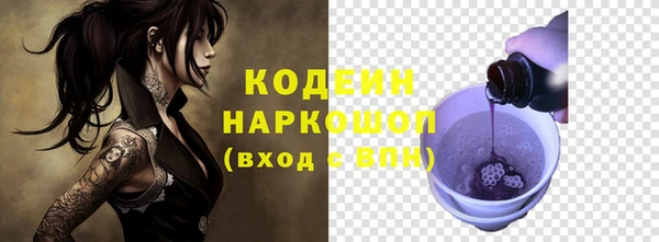 индика Костерёво