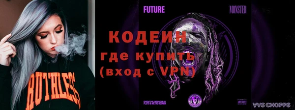 индика Костерёво