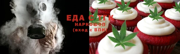 индика Костерёво