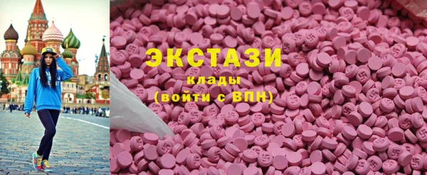 индика Костерёво