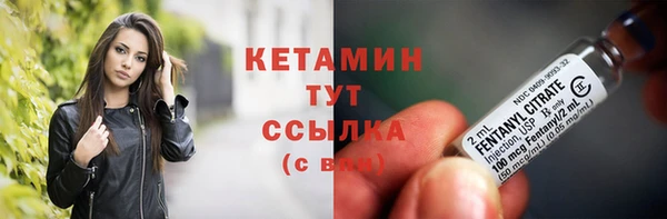индика Костерёво