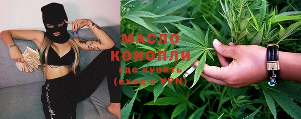 индика Костерёво