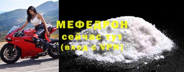 индика Костерёво