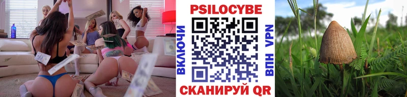 Псилоцибиновые грибы GOLDEN TEACHER  даркнет сайт  Пошехонье 